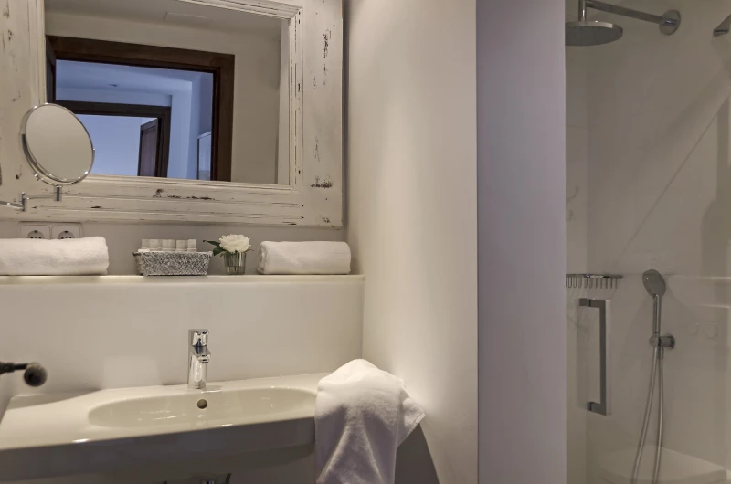 The penthouse bathroom with a mirror and a walk-in shower