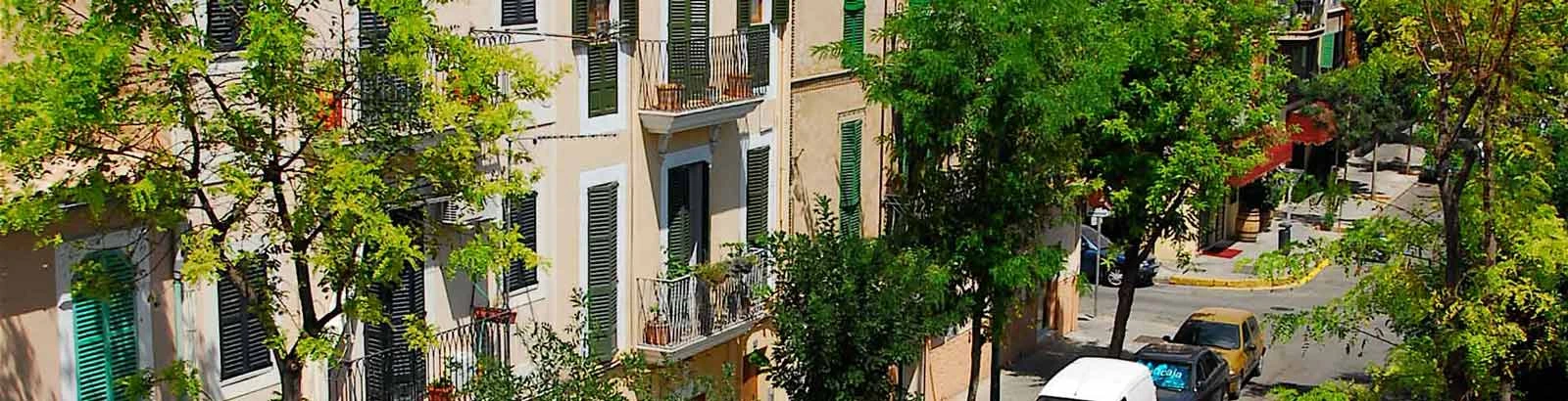 Árboles y balcones en la calle Cotoner